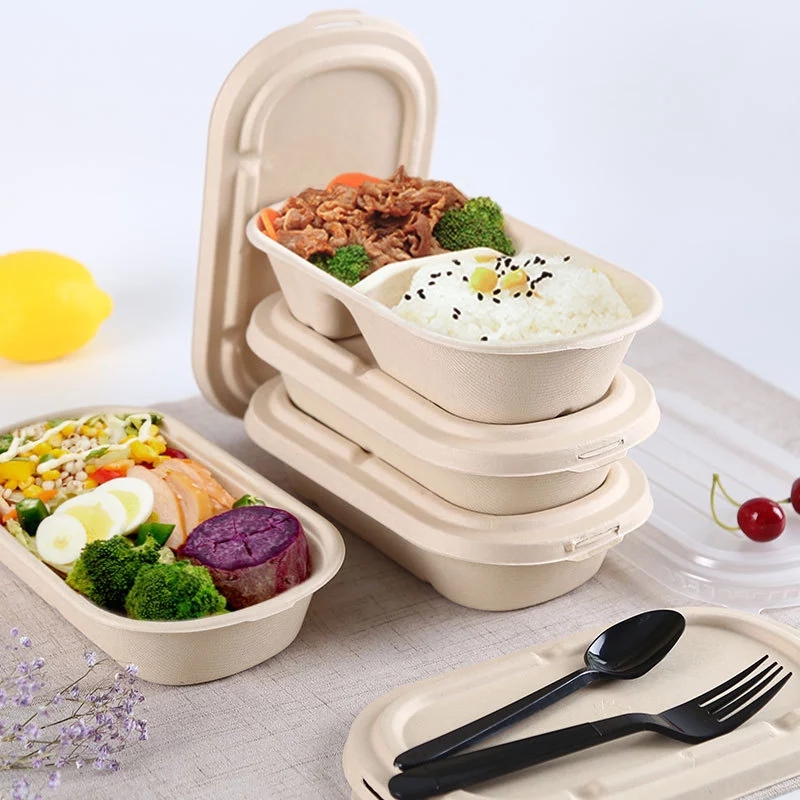 Caja de comida rápida para llevar caja de embalaje de bagazo contenedor de embalaje de alimentos con tapa transparente compostable contenedor de caña de azúcar